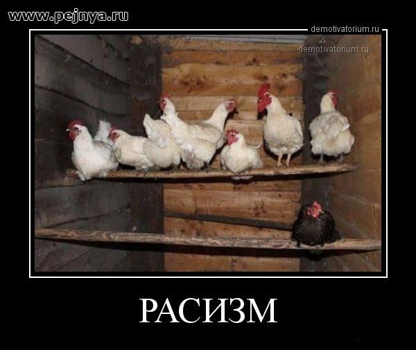 ппппш д чёт РАСИЗМ
