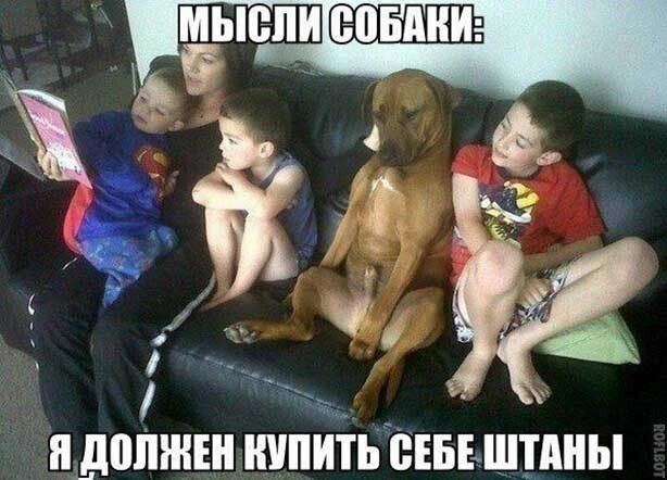 п ЛППЖЕН ШПИТЬ СЕБЕ ШПШЫ