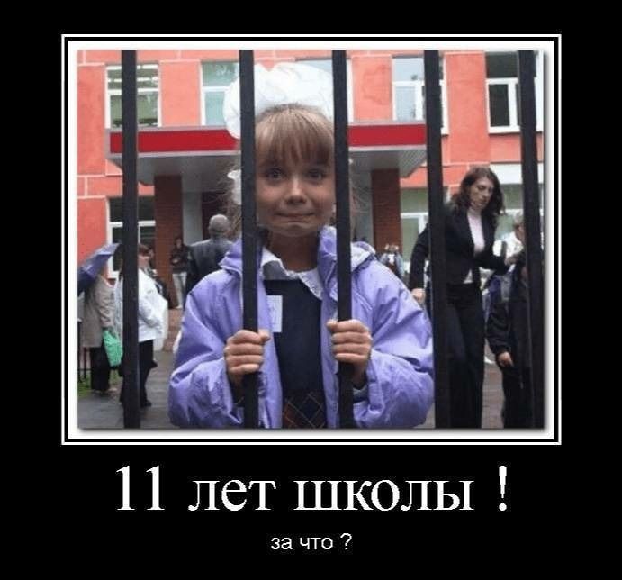 11 лет школы за что