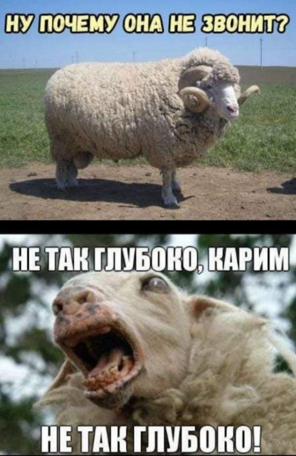 НЕ ТАК ПШБПНШ и