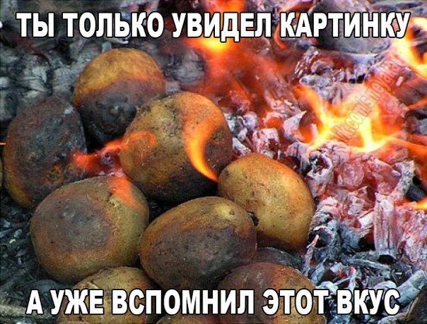 ЁАужЕ Вспомнил эъоъдкудг