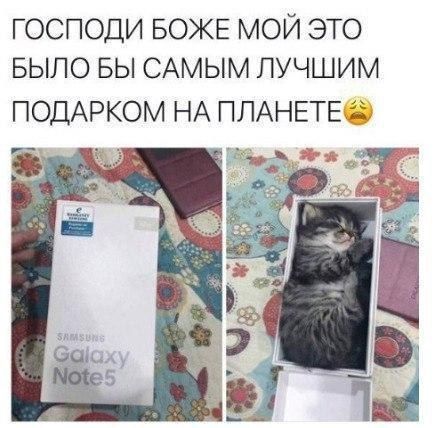 господи БОЖЕ мой это БЫЛО БЫ САМЫМ лучшим ПОДАРКОМ НА ПЛАНЕТЕЁ