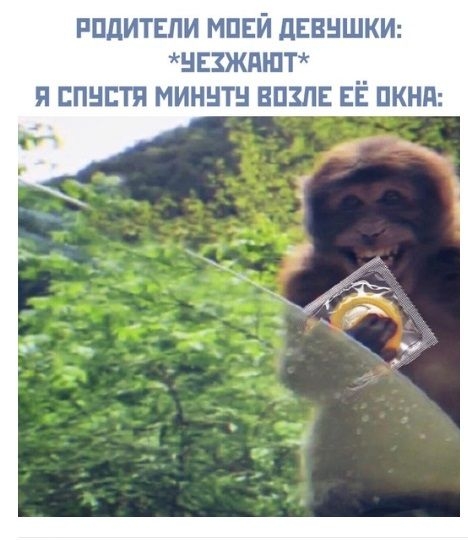 РПДИТЕЛИ МПЕЙ ДЕВНШКИ НЕЗЖПЮТ _ Я ЕПНЕТЯ МИННТН ВПЗЛЕ ЕЁ ПКНП