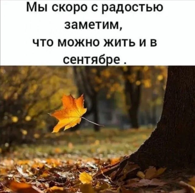 Мы скоро с радостью заметим что можно жить и в сентяб е А Х Ч а _