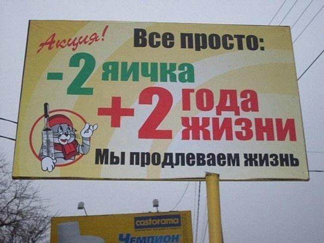 мме Все пиитТ 2 яичка