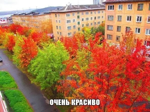 пт _