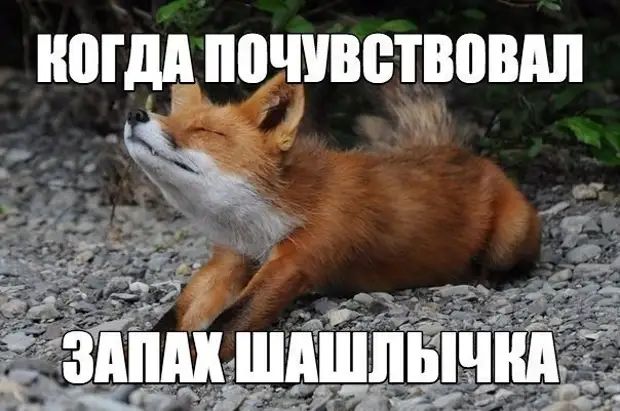 ПШДЁШЦЧУВВТВВВШ _ ч и