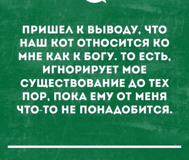 ПРИШЕА К ВЫВОАУ ЧТО НАШ КОТ ОТНОСИТСЯ КО МНЕ КАК К БОГУ ТО ЕСТЬ ИГНОРИРУЕТ МОЕ СУЩЕСТВОВАНИЕ АО ТЕХ ПОР ПОКА ЕМУ ОТ МЕНЯ ЧТО ТО НЕ ПОНААОБИТСЯ