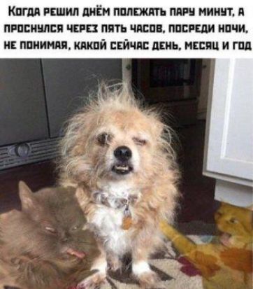 Кпгм гпшил пиЁм питт пт мииит А пиппииппя чана пять чини ппскли ишщ и ппииндя ший Ейчи инь мини и год