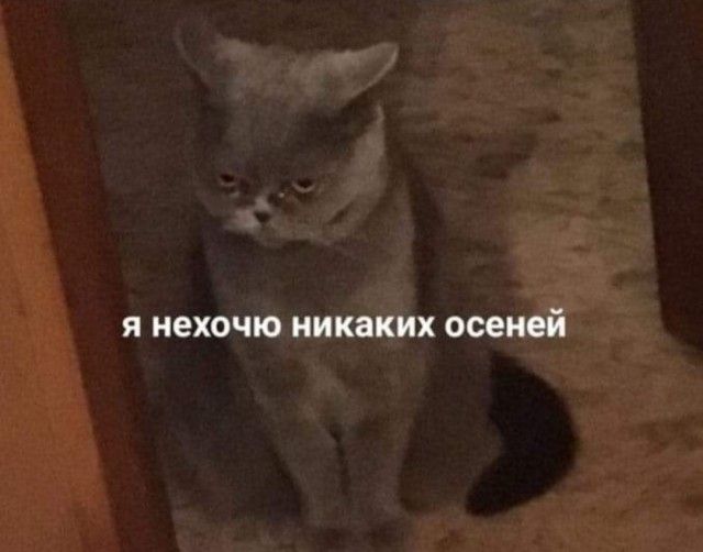 Я НЕХОЧЮ НИКЗКИХ осеней