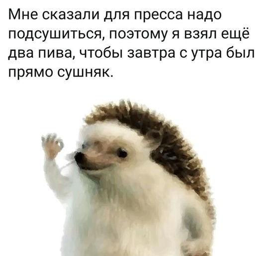 Мне сказали для пресса надо подсушиться поэтому я взял ещё два пива чтобы завтра с утра был прямо сушняк