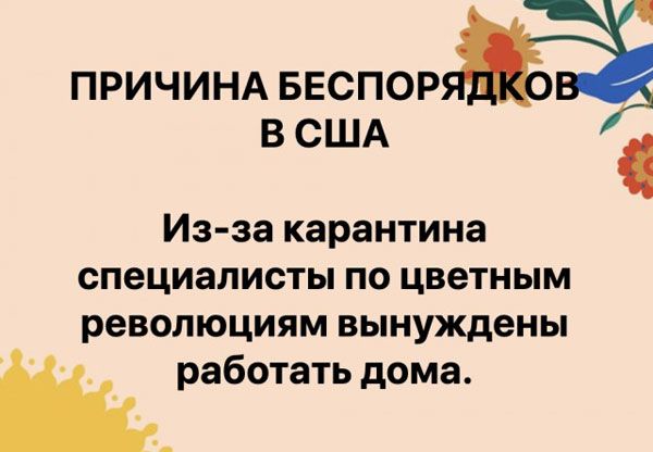 ПРИЧИНА БЕСПОРЁ В США Из за карантина специалисты по цветным революциям вынуждены работать дома