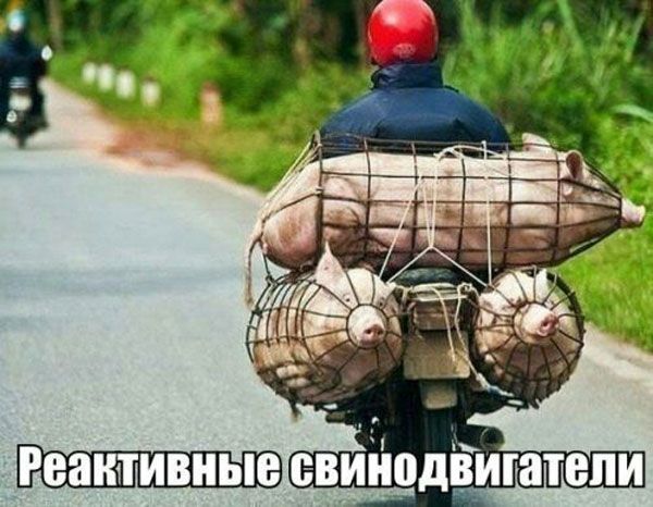 Реактивные евиіюдЁигатепи