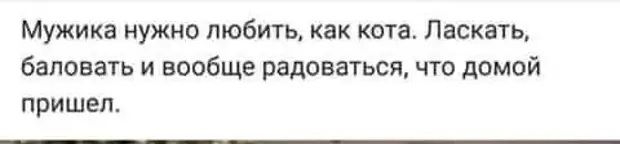 Мужика нужно любить как кота Ласкать баловать и вообще радоваться что домой пришел