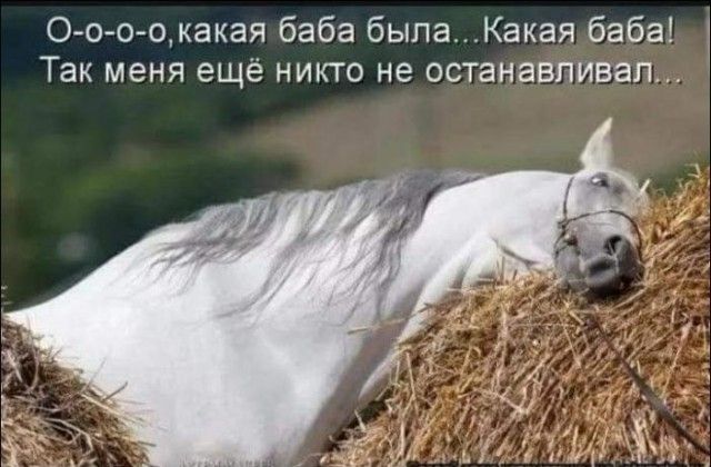 О о о окакая баба былаКакая баба Так меня ещё никто не останавливал
