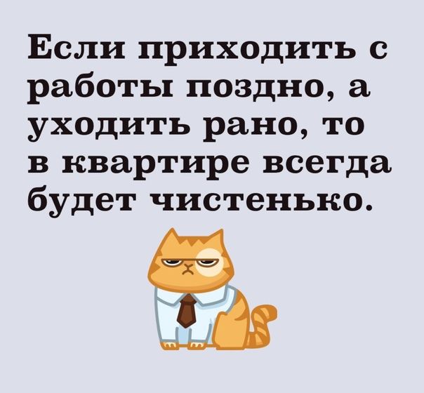 Если приходить с работы поздно уходить рано то в квартире всегда будет чистенько А