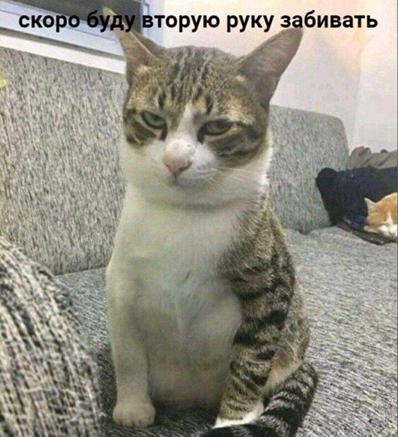 бивать