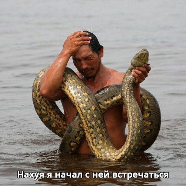 Нёйуя даная с Нейветренатьс я