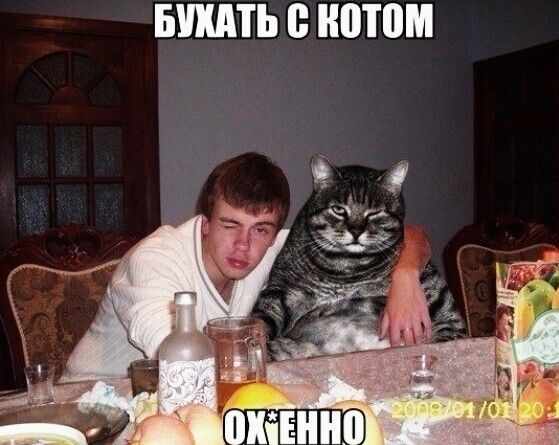 БШТЬ ВШМ