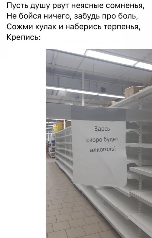 Пусть душу рвут неясные сомненья Не бойся ничего забудь про боль Сожми кулак и наберись терпенья Крепись