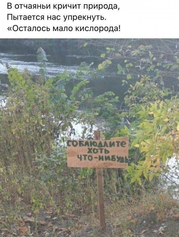 В отчаяньи кричит природа Пытается нас упрекнуть Осталось мало кислорода