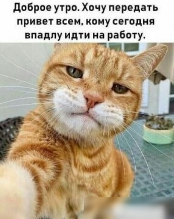 доброе утро Хочу передать привет всем кому сегодня нпаппу идти на работу