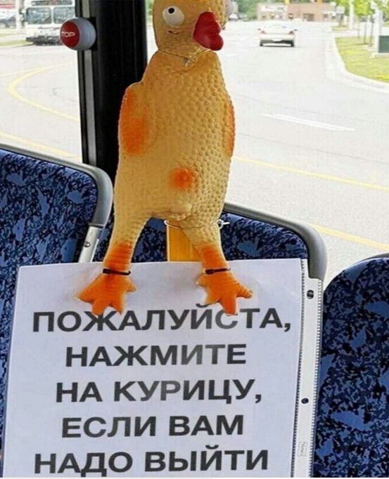дд ПОЖАЛУЙСТА НАЖМИТЕ НА курицу ЕСЛИ ВАМ НАДО выйти