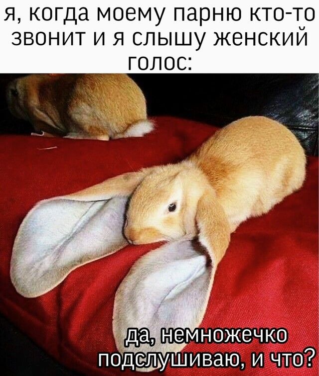 Я когда МОЕМУ парню КТО ТО ЗВОНИТ И Я СЛЫШУ ЖЕНСКИЙ ГОЛОС Ё немножечко ушиваю и что