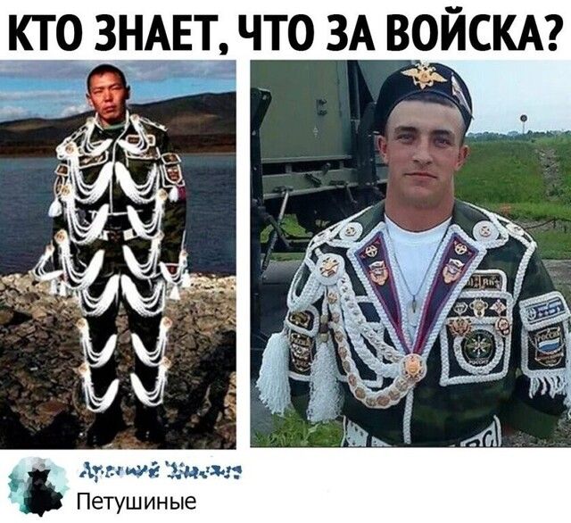 кус ЗНАЕТ что ЗА ВОЙСКА Ам ша шт Петушиные