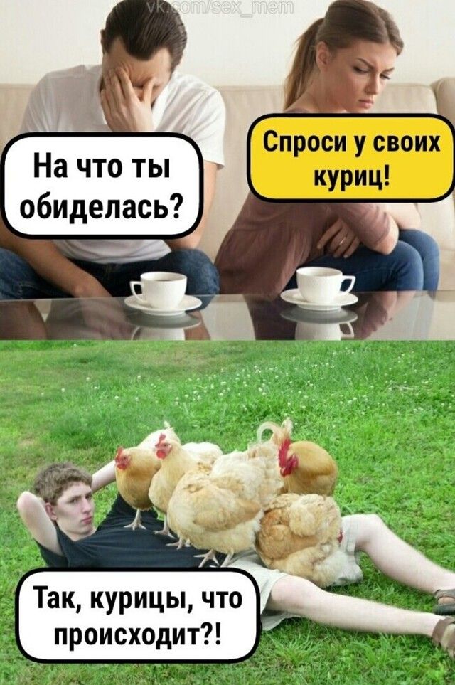 На что ты обиделась