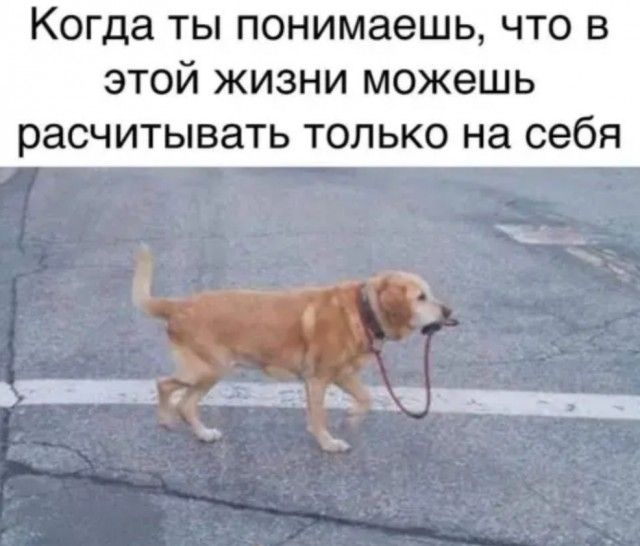 Когда ты понимаешь что в этой жизни можешь расчитывать ТОЛЬКО на себя