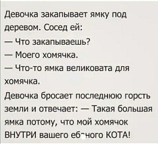 Девочка закапывает ямку под деревом Сосед ей Что закапываешь Моего хомячка Что то ямка великовата для хомячка Девочка бросает последнюю горсть земли и отвечает Такая большая ямка потому что мой хомячок ВНУТРИ вашего ебтного КОТА