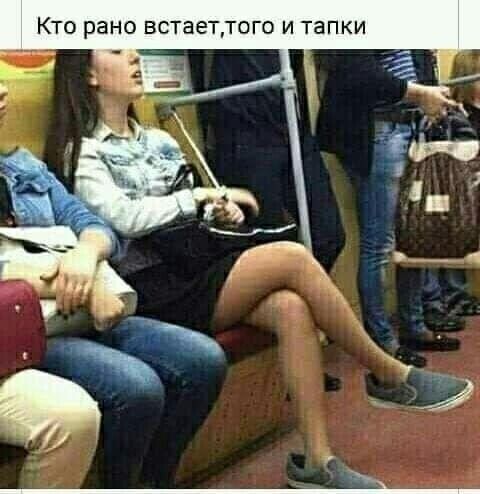 КТО РЕНО встаеттого И тапки