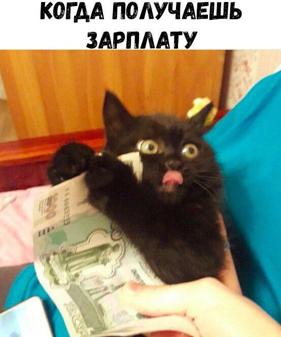 КОГ АА ПОЛУЧАЕШЬ ЗАРПЛАТУ
