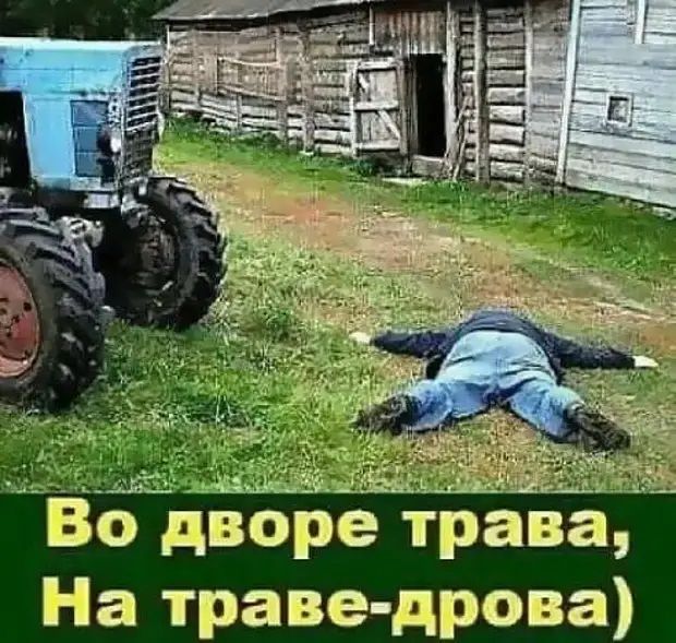 Жажа 36 дворе трава На траве дрова