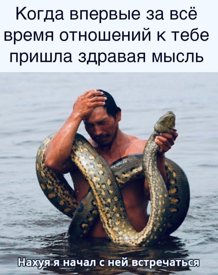 Когда впервые за всё время отношений к тебе пришла здравая мысль начал С ней ВСТреЧЗТЬСЯ ь