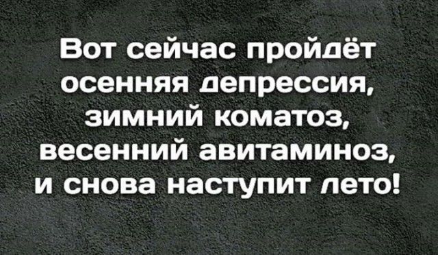 Вот сейчас пройдёт осенняя депрессия зимний коматоз весенний авитаминоз и снова наступит лето