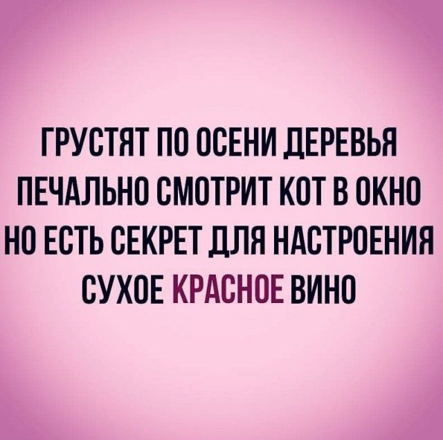 ГРУСТЯТ ПО ОСЕНИ ДЕРЕВЬН ПЕЧАЛЬНО СМОТРИТ КОТ В ОКНО НО ЕСТЬ СЕКРЕТ ДЛЯ НАСТРОЕНИЯ СУХОЕ КРАСНОЕ ВИНО