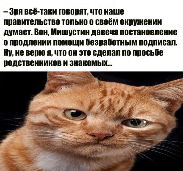 ЗПП всё таки ШВШШП ПО ВШБ ПЕВИТВПЪШВП ПШЫЮ 0 БВЗЁМ ШШЙШШИИ дУМШП ШШ МИШУВТИ давеча постановление О ШЮДПЕПИИ ПОШРЩИ ЁЕЗПВЁШИЫМ подписал ИБ ВБПЮ я что 0 это сделал по ПШЮЬЁВ ппдстввииииов И знакомых