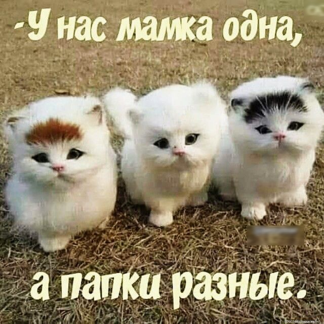 г настта 00 ц