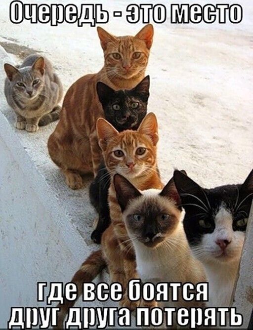 ПДВ ВСВ Н_ЯТСЯ ДШИ ДПШ 0ТВ1ЯТЬ