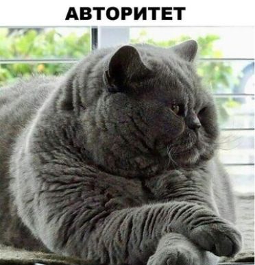АВТОРИТЕТ Зиле