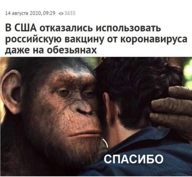 14 В США отказались использовать российскую вакцину от коронавируса даже на обезьянах СПАСИБО