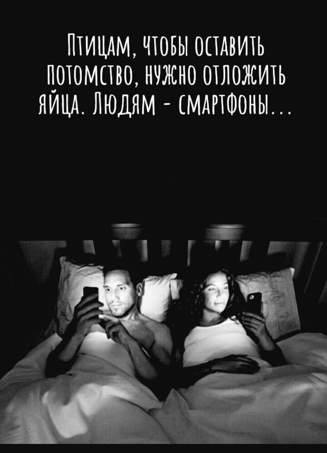 ПТИЦАМ ЧТОБЫ ОСТАВИТЬ ТТОТОМСТВО НТЖНО ОТЛОЖИТЬ ЛИЦА ЛЮДЯМ МАРТФОНЫ