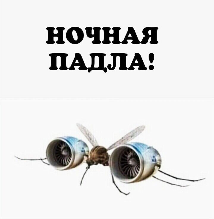 НОЧНАЯ ПАДЛА