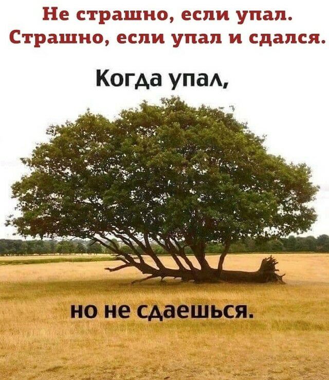 Не страшно если упал Страшно если упал и сдался Когда упа
