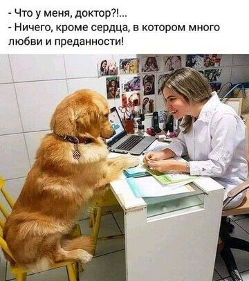 Что у меня доктор _ Ничего кроме сердца в котором много любви и преданности