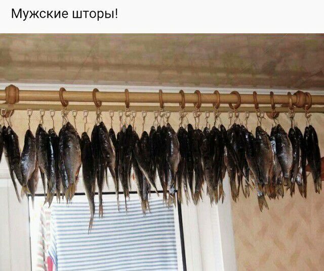 Мужские шторы