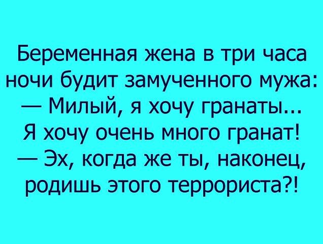 Беременная жена в три часа ночи будит замученного мужа Милый я хочу гранаты Я хочу очень много гранат Эх когда же ты наконец родишьо этого террориста