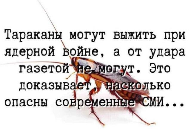 Таракаъъы могут выжить при ядерной ойне от удара 3 т Это